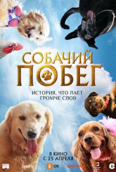 Смотреть Собачий побег