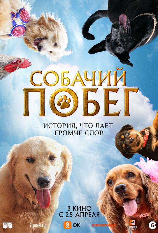 Смотреть Собачий побег